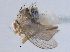  ( - CCDB-21330-C10)  @11 [ ] CreativeCommons - Attribution (2014) CBG Photography Group Centre for Biodiversity Genomics