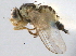  ( - CCDB-21330-D01)  @11 [ ] CreativeCommons - Attribution (2014) CBG Photography Group Centre for Biodiversity Genomics