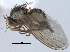  ( - CCDB-21330-D05)  @11 [ ] CreativeCommons - Attribution (2014) CBG Photography Group Centre for Biodiversity Genomics