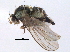  ( - CCDB-21330-D06)  @11 [ ] CreativeCommons - Attribution (2014) CBG Photography Group Centre for Biodiversity Genomics