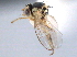  ( - CCDB-21330-E02)  @11 [ ] CreativeCommons - Attribution (2014) CBG Photography Group Centre for Biodiversity Genomics