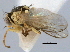  ( - CCDB-21330-E03)  @11 [ ] CreativeCommons - Attribution (2014) CBG Photography Group Centre for Biodiversity Genomics