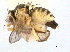  ( - CCDB-21330-E04)  @11 [ ] CreativeCommons - Attribution (2014) CBG Photography Group Centre for Biodiversity Genomics