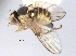  ( - CCDB-21330-E05)  @11 [ ] CreativeCommons - Attribution (2014) CBG Photography Group Centre for Biodiversity Genomics
