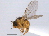  ( - CCDB-21330-F09)  @11 [ ] CreativeCommons - Attribution (2014) CBG Photography Group Centre for Biodiversity Genomics