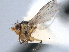  ( - CCDB-21330-H05)  @11 [ ] CreativeCommons - Attribution (2014) CBG Photography Group Centre for Biodiversity Genomics