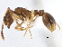 ( - CCDB-21332-B03)  @11 [ ] CreativeCommons - Attribution (2014) CBG Photography Group Centre for Biodiversity Genomics