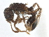  ( - CCDB-21332-B06)  @11 [ ] CreativeCommons - Attribution (2014) CBG Photography Group Centre for Biodiversity Genomics