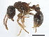  ( - CCDB-21332-B07)  @11 [ ] CreativeCommons - Attribution (2014) CBG Photography Group Centre for Biodiversity Genomics