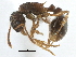  ( - CCDB-21332-B08)  @11 [ ] CreativeCommons - Attribution (2014) CBG Photography Group Centre for Biodiversity Genomics