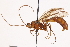  ( - CCDB-21332-E12)  @14 [ ] CreativeCommons - Attribution (2014) CBG Photography Group Centre for Biodiversity Genomics