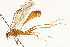  ( - CCDB-21332-G01)  @11 [ ] CreativeCommons - Attribution (2014) CBG Photography Group Centre for Biodiversity Genomics