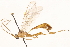  ( - CCDB-21332-G02)  @11 [ ] CreativeCommons - Attribution (2014) CBG Photography Group Centre for Biodiversity Genomics
