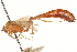 ( - CCDB-21332-G12)  @11 [ ] CreativeCommons - Attribution (2014) CBG Photography Group Centre for Biodiversity Genomics