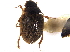  ( - CCDB-21336-D06)  @11 [ ] CreativeCommons - Attribution (2014) CBG Photography Group Centre for Biodiversity Genomics