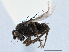  ( - CCDB-21403-A12)  @13 [ ] CreativeCommons - Attribution (2014) CBG Photography Group Centre for Biodiversity Genomics