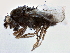  ( - CCDB-21403-B02)  @14 [ ] CreativeCommons - Attribution (2014) CBG Photography Group Centre for Biodiversity Genomics