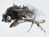 ( - CCDB-21403-B04)  @11 [ ] CreativeCommons - Attribution (2014) CBG Photography Group Centre for Biodiversity Genomics