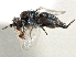  ( - CCDB-21403-D06)  @11 [ ] CreativeCommons - Attribution (2014) CBG Photography Group Centre for Biodiversity Genomics