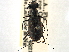  ( - CCDB-21408-C02)  @11 [ ] CreativeCommons - Attribution (2014) CBG Photography Group Centre for Biodiversity Genomics