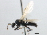  ( - CCDB-21409-F11)  @11 [ ] CreativeCommons - Attribution (2014) CBG Photography Group Centre for Biodiversity Genomics