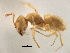  ( - CCDB-21409-G05)  @14 [ ] CreativeCommons - Attribution (2014) CBG Photography Group Centre for Biodiversity Genomics