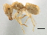  ( - CCDB-21409-G07)  @15 [ ] CreativeCommons - Attribution (2014) CBG Photography Group Centre for Biodiversity Genomics