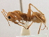  ( - CCDB-21409-H04)  @11 [ ] CreativeCommons - Attribution (2014) CBG Photography Group Centre for Biodiversity Genomics