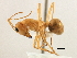  ( - CCDB-21409-H05)  @11 [ ] CreativeCommons - Attribution (2014) CBG Photography Group Centre for Biodiversity Genomics