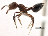  ( - CCDB-21409-H10)  @14 [ ] CreativeCommons - Attribution (2014) CBG Photography Group Centre for Biodiversity Genomics