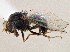  ( - CCDB-21412-D07)  @11 [ ] CreativeCommons - Attribution (2014) CBG Photography Group Centre for Biodiversity Genomics