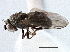  ( - CCDB-21412-D09)  @11 [ ] CreativeCommons - Attribution (2014) CBG Photography Group Centre for Biodiversity Genomics