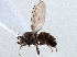  ( - CCDB-21412-D10)  @11 [ ] CreativeCommons - Attribution (2014) CBG Photography Group Centre for Biodiversity Genomics