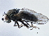  ( - CCDB-21412-E01)  @11 [ ] CreativeCommons - Attribution (2014) CBG Photography Group Centre for Biodiversity Genomics