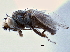  ( - CCDB-21412-E09)  @11 [ ] CreativeCommons - Attribution (2014) CBG Photography Group Centre for Biodiversity Genomics