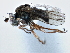  ( - CCDB-21412-F04)  @11 [ ] CreativeCommons - Attribution (2014) CBG Photography Group Centre for Biodiversity Genomics