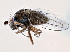  ( - CCDB-21412-F06)  @11 [ ] CreativeCommons - Attribution (2014) CBG Photography Group Centre for Biodiversity Genomics