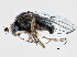  ( - CCDB-21412-F08)  @14 [ ] CreativeCommons - Attribution (2014) CBG Photography Group Centre for Biodiversity Genomics