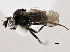  ( - CCDB-21412-F12)  @11 [ ] CreativeCommons - Attribution (2014) CBG Photography Group Centre for Biodiversity Genomics
