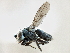  ( - CCDB-21412-G10)  @11 [ ] CreativeCommons - Attribution (2014) CBG Photography Group Centre for Biodiversity Genomics