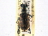  ( - CCDB-21415-H05)  @11 [ ] CreativeCommons - Attribution (2014) CBG Photography Group Centre for Biodiversity Genomics