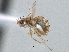  ( - CCDB-21420-D09)  @12 [ ] CreativeCommons - Attribution (2014) CBG Photography Group Centre for Biodiversity Genomics