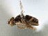  ( - CCDB-21420-E09)  @11 [ ] CreativeCommons - Attribution (2014) CBG Photography Group Centre for Biodiversity Genomics