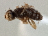  ( - CCDB-21420-E10)  @11 [ ] CreativeCommons - Attribution (2014) CBG Photography Group Centre for Biodiversity Genomics