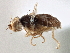  ( - CCDB-21420-E12)  @11 [ ] CreativeCommons - Attribution (2014) CBG Photography Group Centre for Biodiversity Genomics