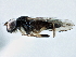  ( - CCDB-21420-G02)  @13 [ ] CreativeCommons - Attribution (2014) CBG Photography Group Centre for Biodiversity Genomics