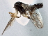  ( - CCDB-21420-G05)  @12 [ ] CreativeCommons - Attribution (2014) CBG Photography Group Centre for Biodiversity Genomics