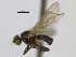 ( - CCDB-21423-C05)  @13 [ ] CreativeCommons - Attribution (2013) CBG Photography Group Centre for Biodiversity Genomics