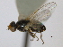  ( - CCDB-21423-D06)  @13 [ ] CreativeCommons - Attribution (2013) CBG Photography Group Centre for Biodiversity Genomics