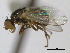  ( - CCDB-21423-D08)  @11 [ ] CreativeCommons - Attribution (2013) CBG Photography Group Centre for Biodiversity Genomics